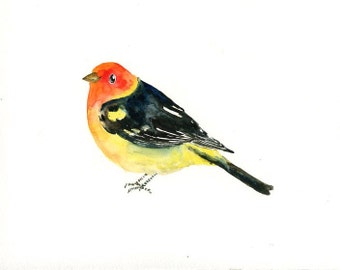 WESTERN TANAGER Original watercolor painting 10x8inch