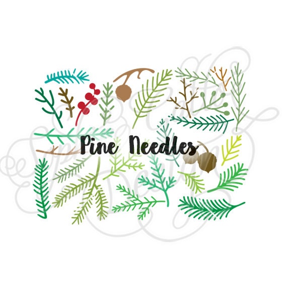 Download Winter Pine Needles branches SVG DXF digital download file