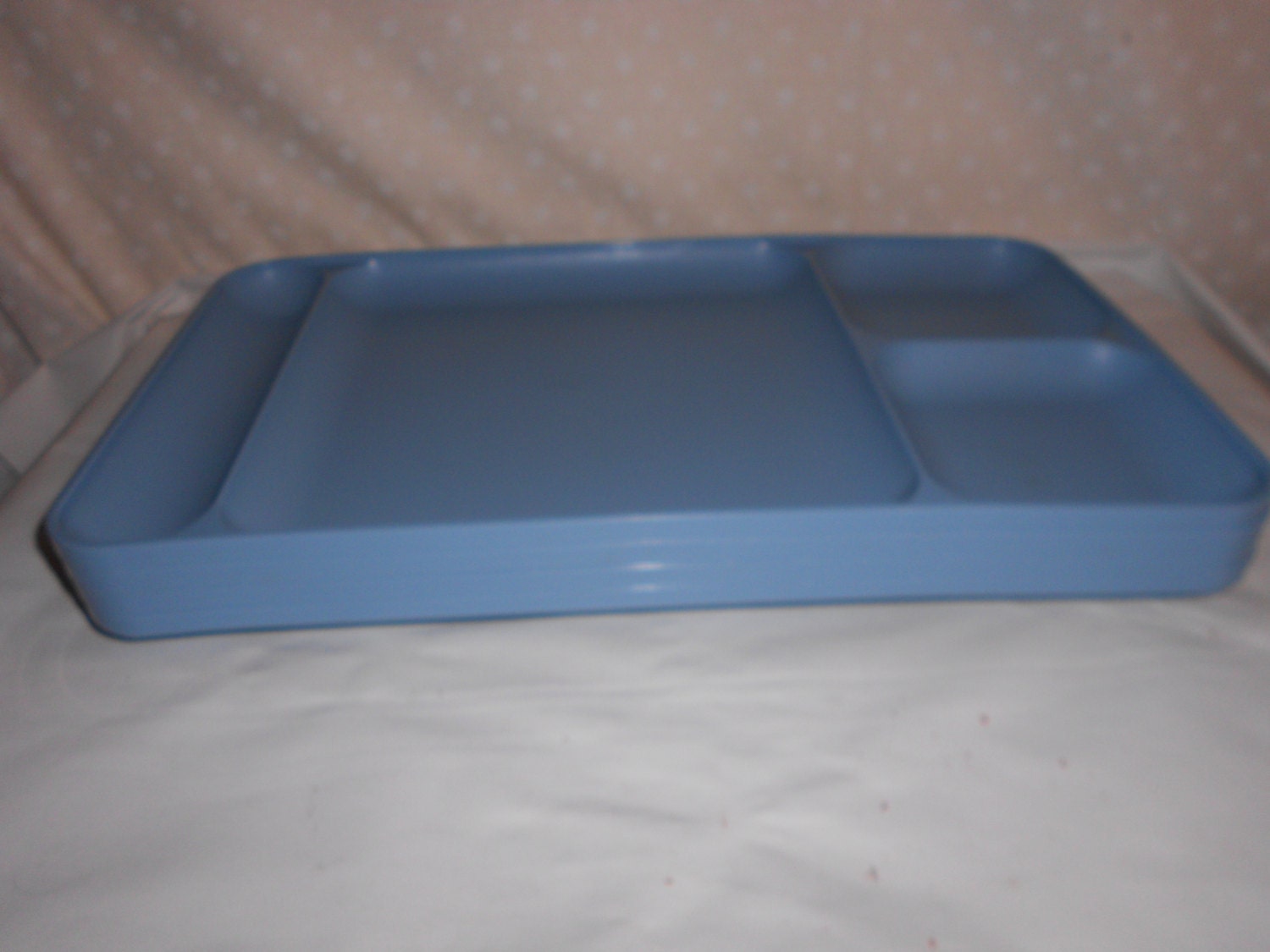 Tupperware Divided Tray Lunch Tray set of 4 Haute Juice