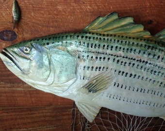 Striped Bass 30" freshwater chainsaw wood sculpture art original Todd Lynd indoor or outdoor home decor fish carving lake lodge wall mount