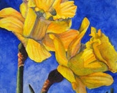 Flower Painting Art, Original Daffodil Painting, Yellow Daffodil Watercolor Art, Spring Floral Wall Decor, Flower Gift by Barbara Rosenzweig
