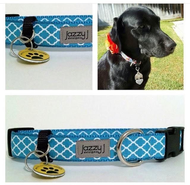 Dog Collar Pet ID Tag Holder