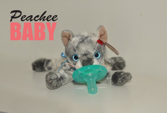 kitten pacifier toys