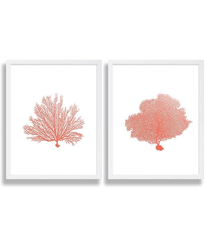  Coral  Wall  Art  Prints Coral  Color Decor  Coral  Prints Water