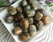 Rainforest Jasper Tumbled Stones
