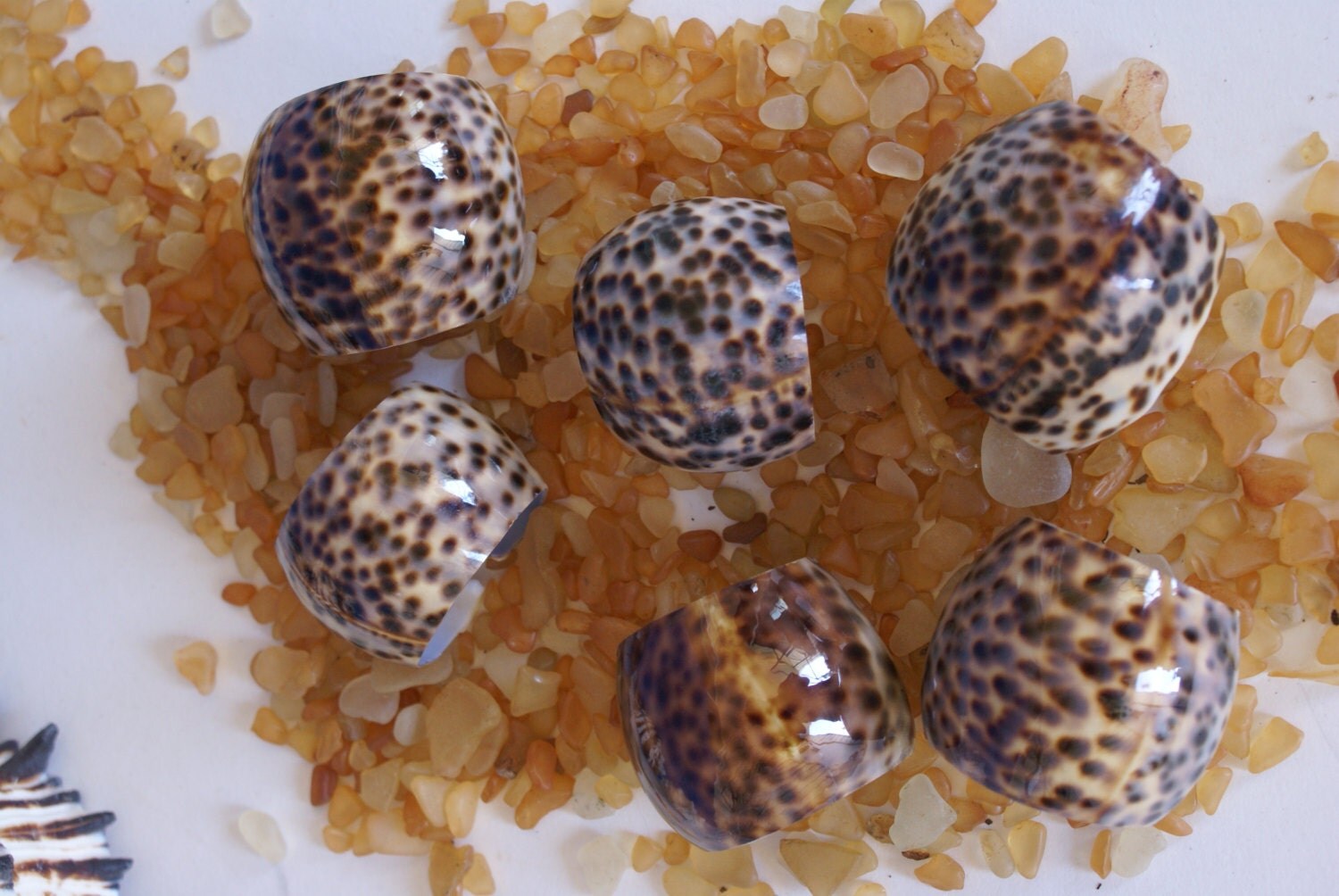 Set Of Six Vintage Handmade In The Philippines Real Natural Sea Shell ...