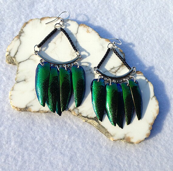 Beetle Wing Earrings Beetle Wing Jewelry Beetle Wings