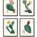 Vintage Butterfly and Botanical Print Set No.1 Giclee Art
