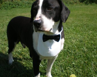 Dog Tuxedo Shirt and Satin Bow Tie on Collar Will Fit Neck Sizes 12-20" Most Medium Size Breed Dogs