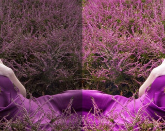 Photoshop Action; ColorPop