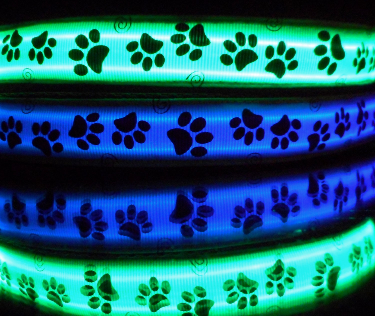 Paw print LED collar lights up & glows w/ animal paws in blue