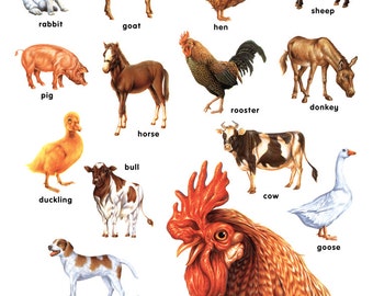 Farm Animals Poster, Chicken, Pig, Cow, Horse, Goat, Turkey, Duck