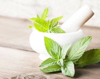 Peppermint Essential Oil ~ Organic Aromatherapy Essential Oil ~ Pure, Uncut Organic Peppermint Oil