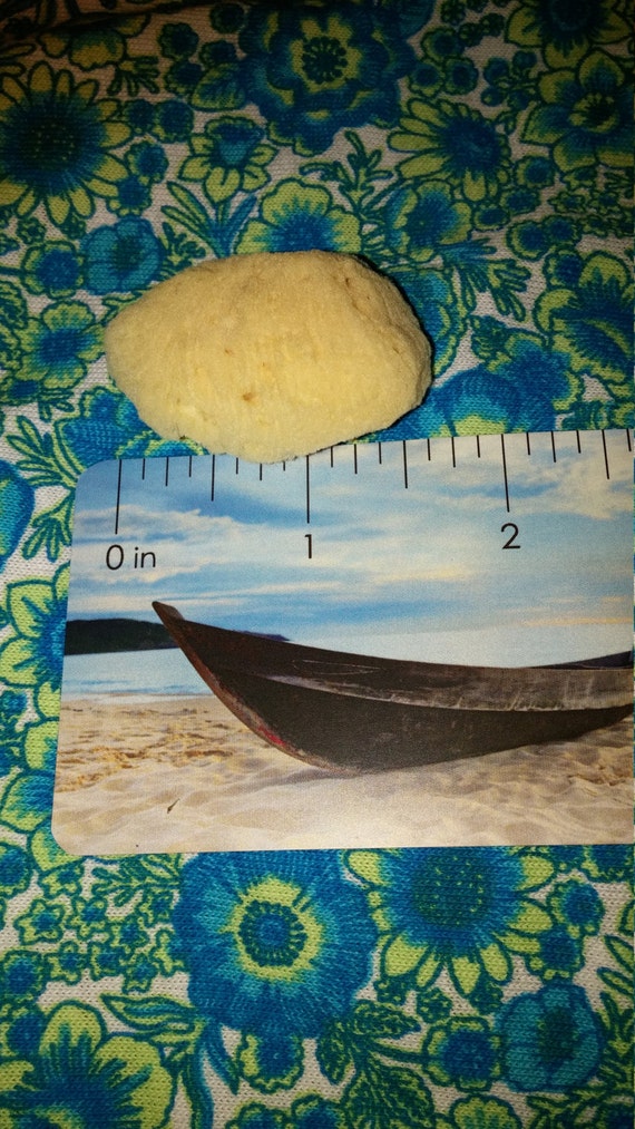 Natural Sea Sponge Tampons