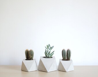 FORMA | Concrete Succulent Planter - set of 3