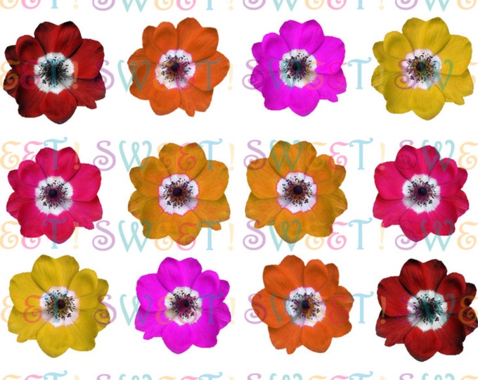 Edible Anemone Cake, Cupcake & Cookie Toppers - Wafer Paper or Frosting Sheet