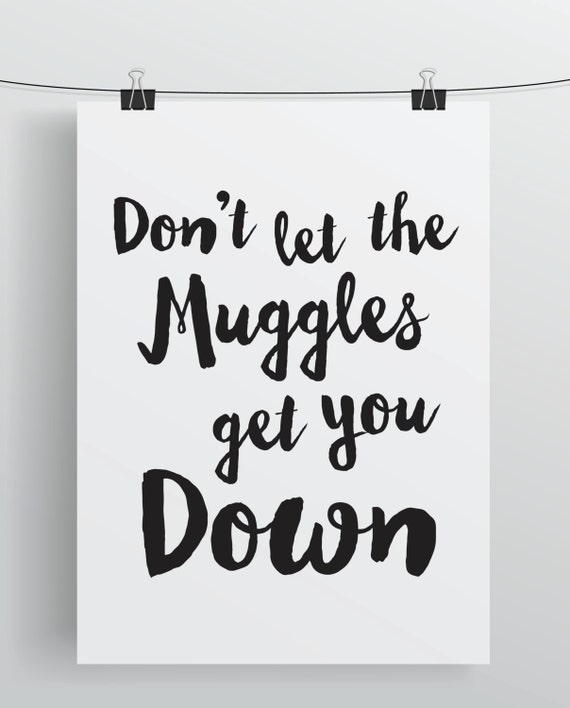 Don't Let The Muggles Get You Down Poster Harry by ...