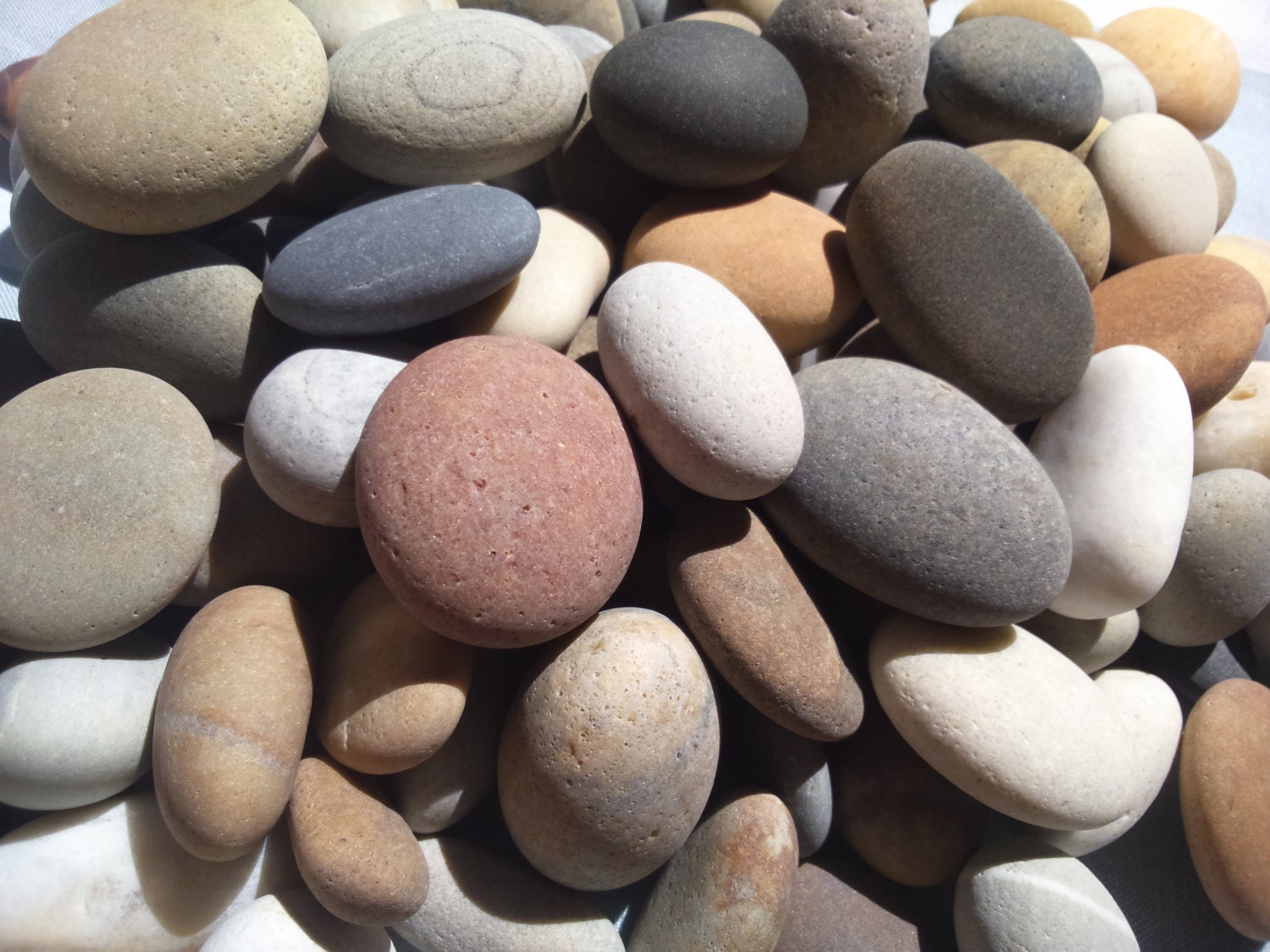 50 Beach stones 3 to 4 cm 1.18 to 1.57 inches small atlantic