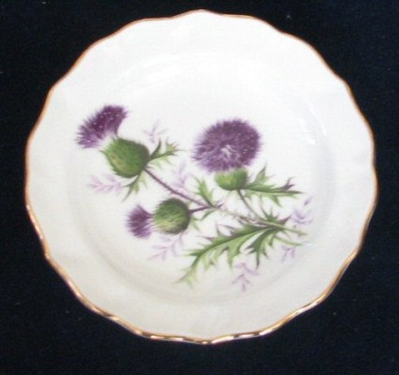 Thistle Pattern 922 Coaster Duchess Bone China