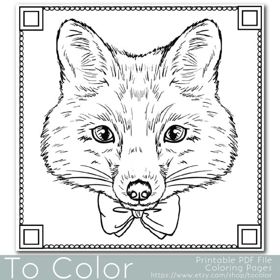 Items similar to Fox  Coloring  Page  for Adults PDF  JPG 