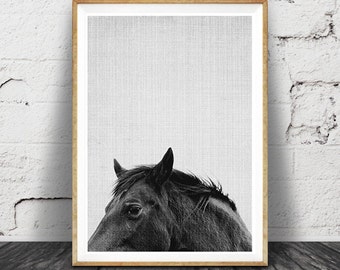 Horse Print, Horse Art, Horse Photo, Black and White Horse Photography Print, Modern Minimal Horse, Printable Horse Art, Instant Download