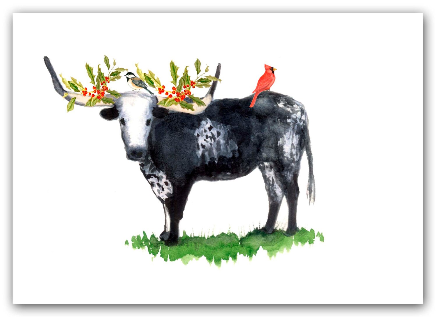 Long horned steer Christmas cards texas Christmas card Set