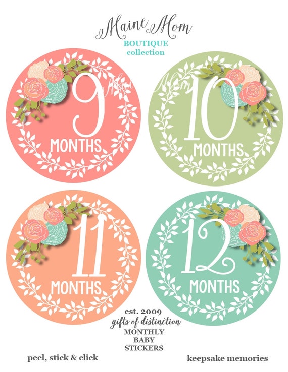 FREE GIFT Baby Girl Month Stickers Monthly Baby Stickers