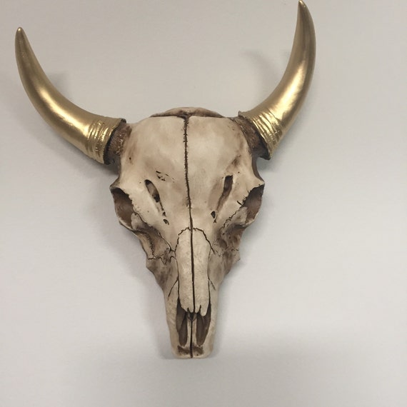 Items similar to Faux resin cow skull with gold horns cow wall hanging skull wall accent and