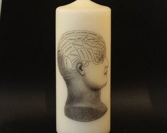 Phrenology Head - Pillar Candle - Anatomical Decor