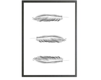 three feathers art print