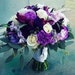 Dissy Rose