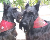 Harris Tweed bandana, dog accessories, neckerchief, kerchief
