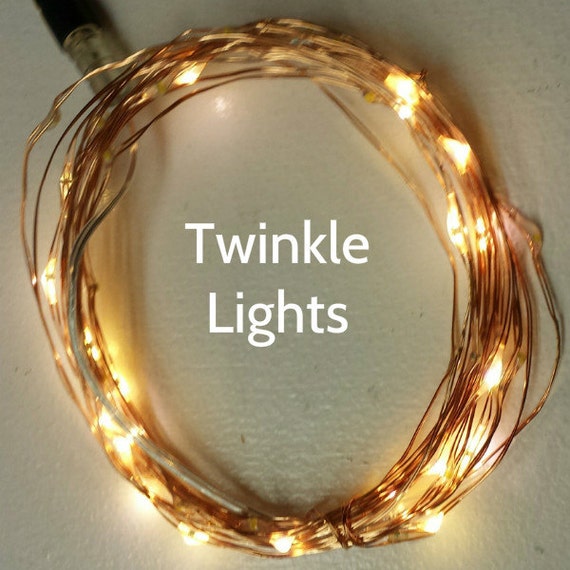 16.5-Foot 5m 50 Twinkle Fairy Lights on copper or silver