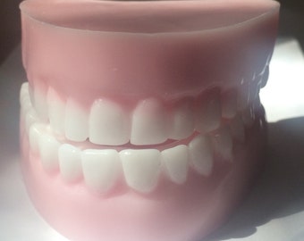 Denture Soap, Teeth, Handmade Soap, Novelty Soap, Dentist