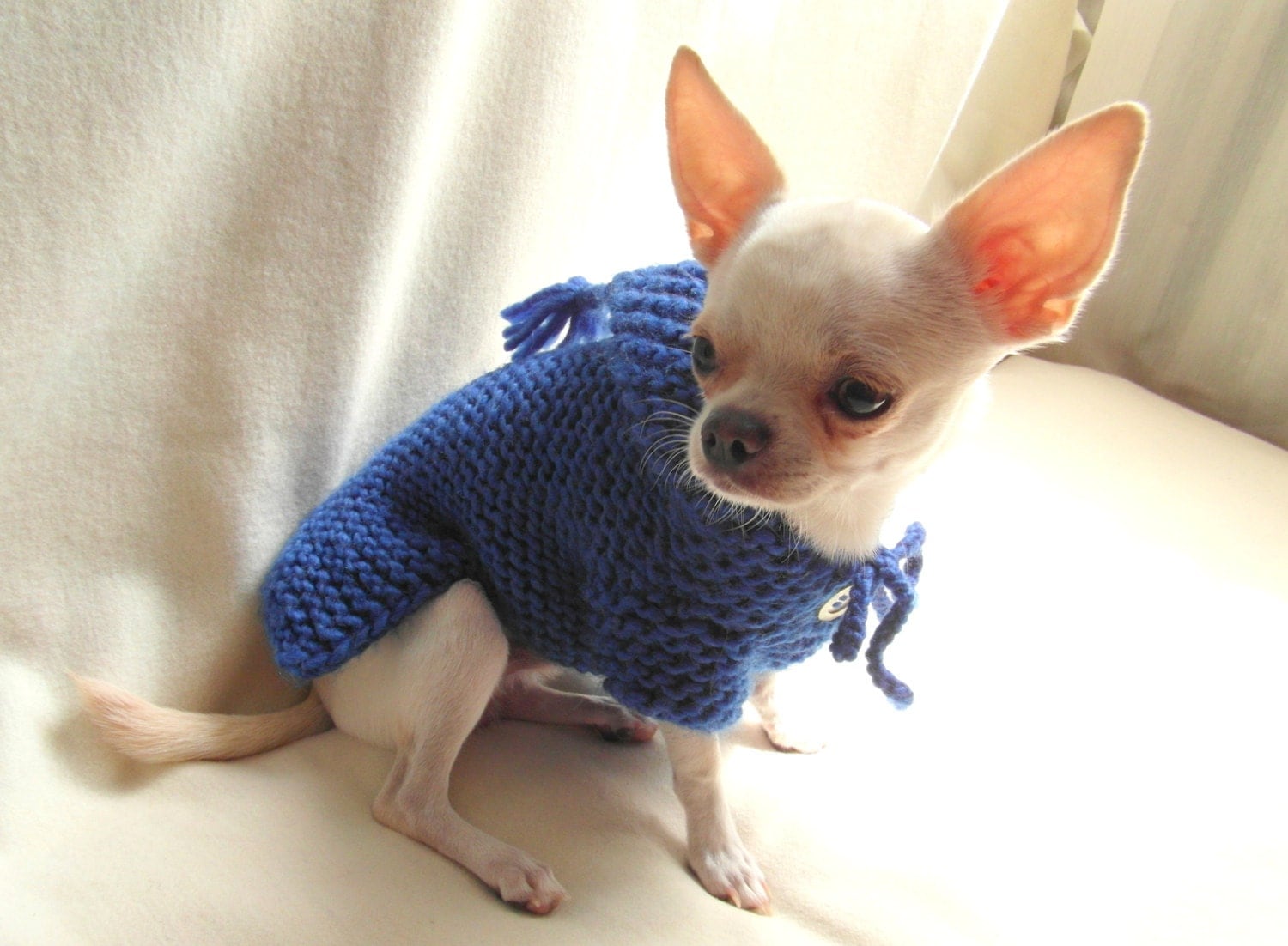 Royal Blue Dog Hoodie Chihuahua Clothing XXS Dog Clothes