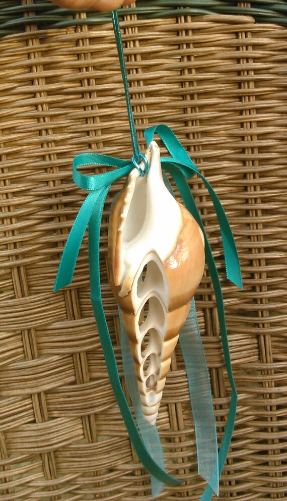 Two Seashell Ornaments Coastal Christmas Tree by SaltLifeSoul