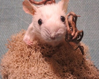 Taxidermy Mouse Sculpture: Imagine No. 8