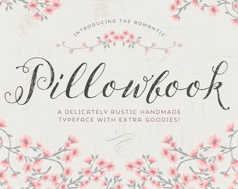 Script font: Pillowbook font PLUS extras / modern calligraphy font / wedding font elegant typeface / blog font / photography / hand drawn