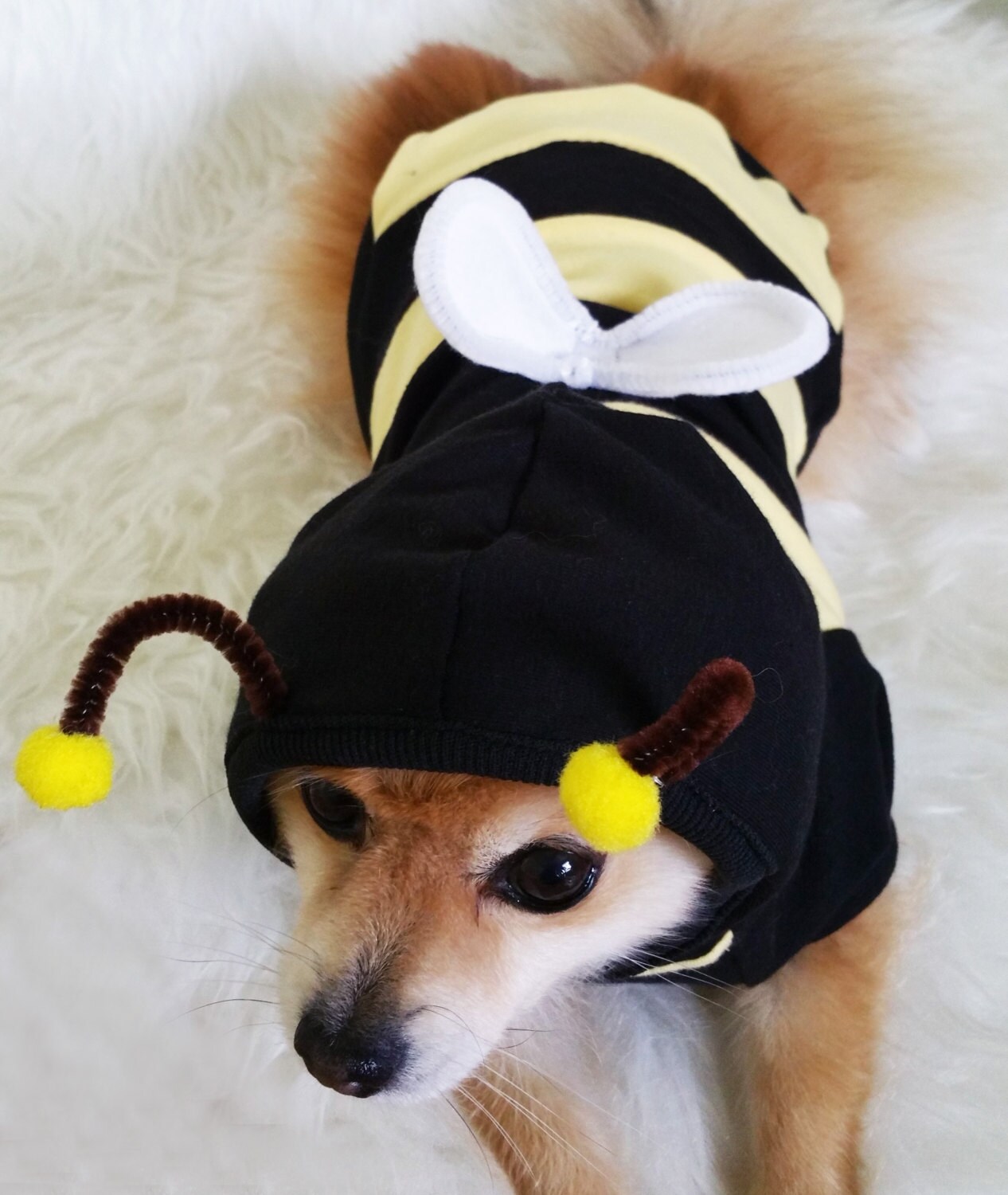 Bumble Bee Costume XS4XL Size Handmade Dog Halloween