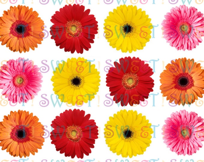 Edible Gerbera Daisy Cake, Cupcake & Cookie Toppers - Wafer Paper or Frosting Sheet