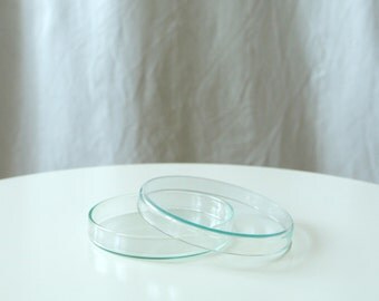 Vintage Petri Dish - Mini Glass Display