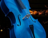 Cello Blue Cello Blue Cello in Autumn Still Life Fine Art Photography Blue Cello Cello Blue Cello Blue Cello in Autumn Still Life Fine Art Photography Blue Cello