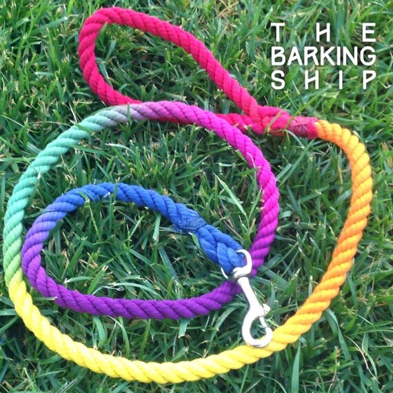 Rainbow Fish Rope Leash