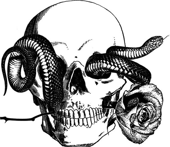 human skull snake tattoo art rose png Digital graphics