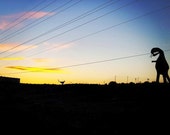 Arizona Sunset, 11x11, color, photograph, landscape, sunset, fine art print, archival, satin paper, signed by artist, limited edition