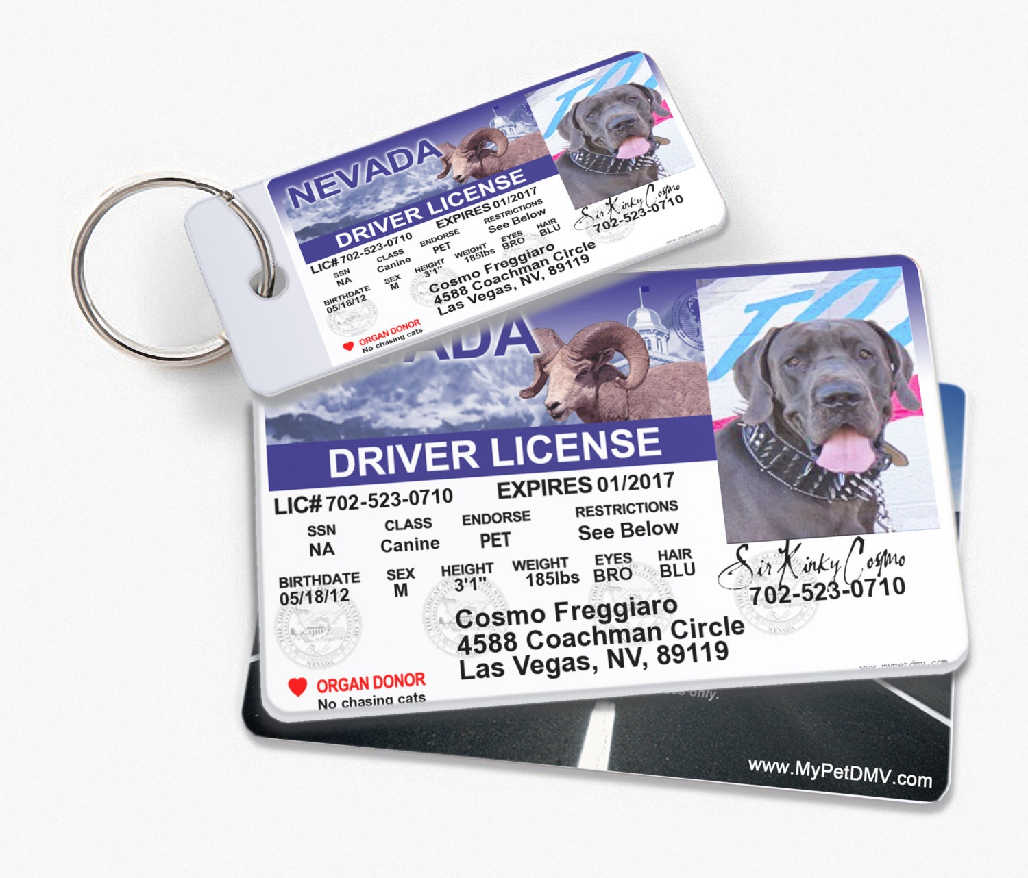 Nevada 2012 Personalized Pet License ID w/ Collar ID Tags