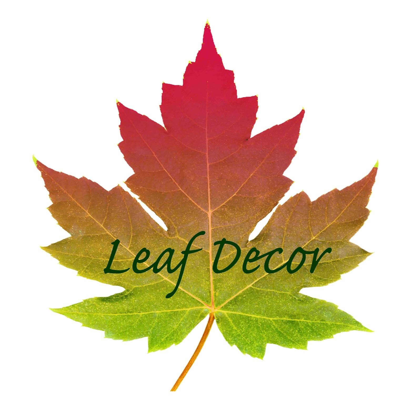 Leaf and Flower Art Tablecards Pressed Botanicals by LeafDecor