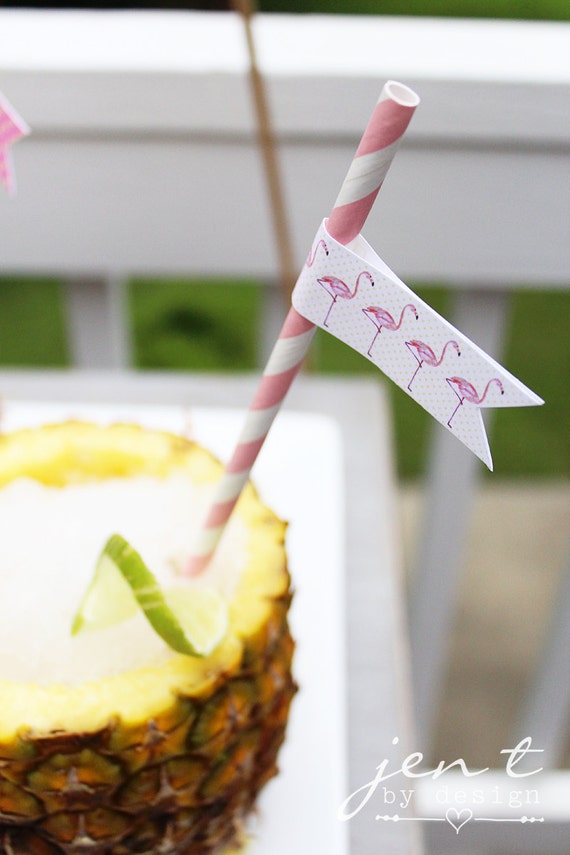 Pink Flamingo Straw Flags