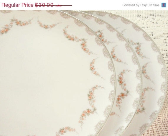 tea party dinner plates