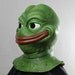 Smug Meme Frog Halloween Mask